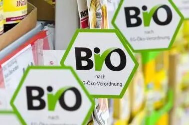 Regale mit verschiedenen Bio-Lebensmitteln und sichtbaren Bio-Siegeln, vegan und umweltfreundlich verpackt.